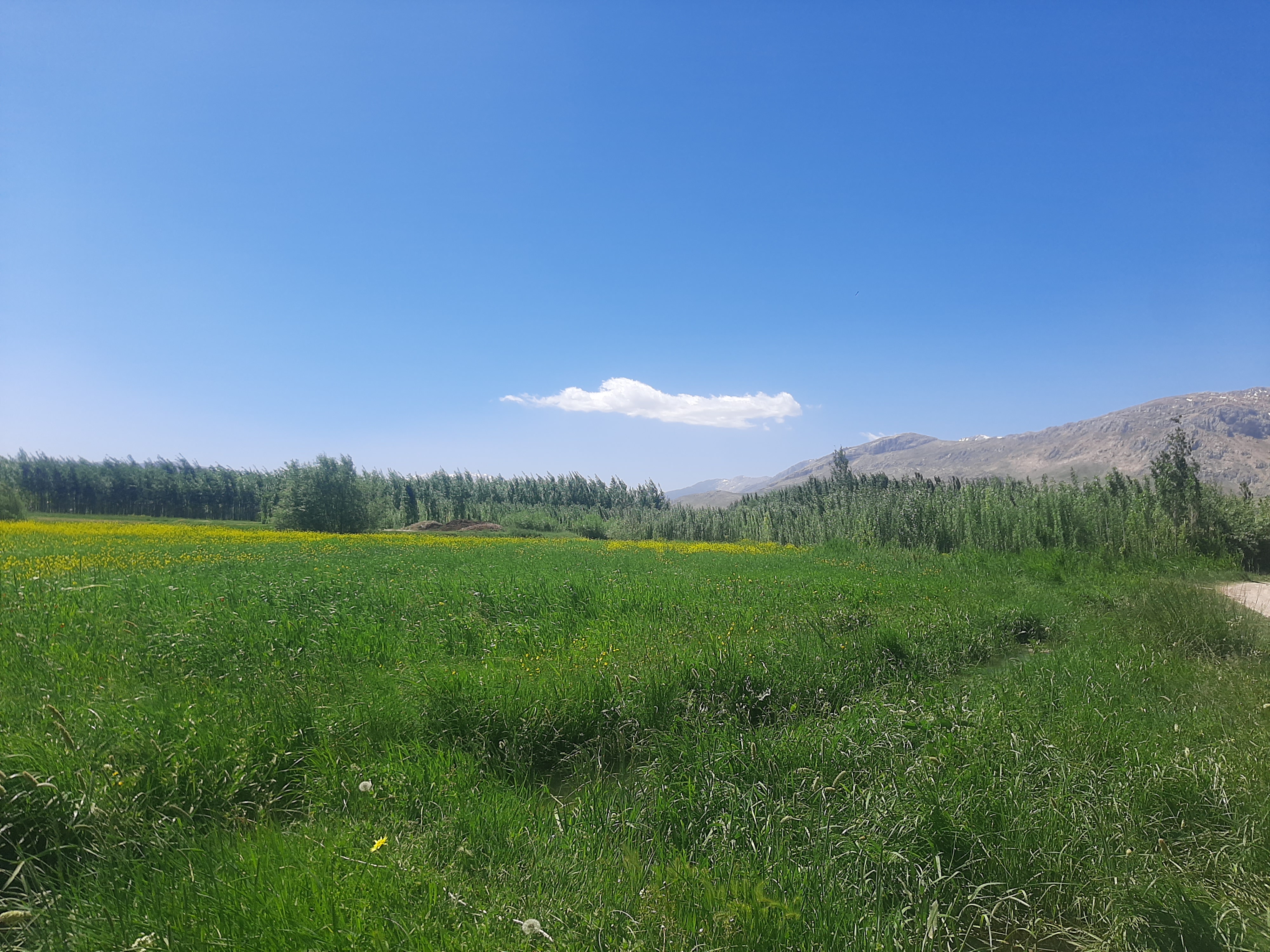 ماه ادیبهشت و اینجا قطعه ای از بهشت
