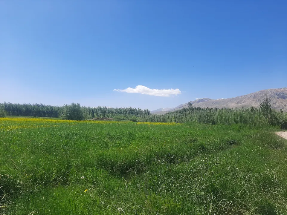 ماه ادیبهشت و اینجا قطعه ای از بهشت