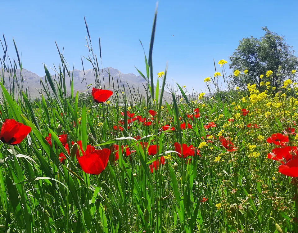پایان اردیبهشت