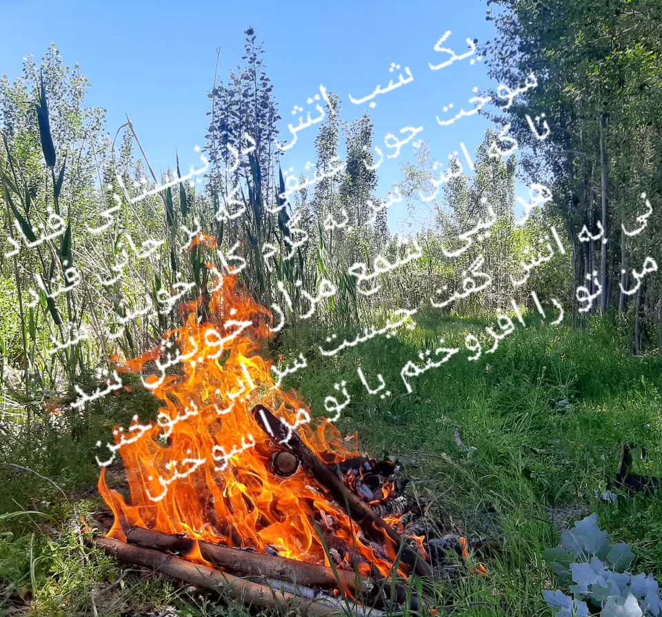 اتش در نیستان